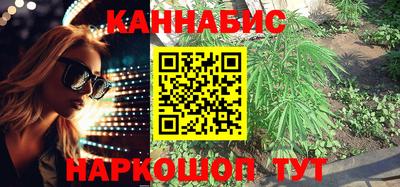 гидропоника Пушкино