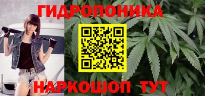 ПСИЛОЦИБИНОВЫЕ ГРИБЫ Пугачёв
